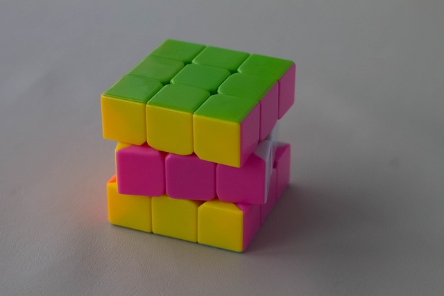 brain