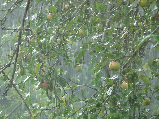 shower