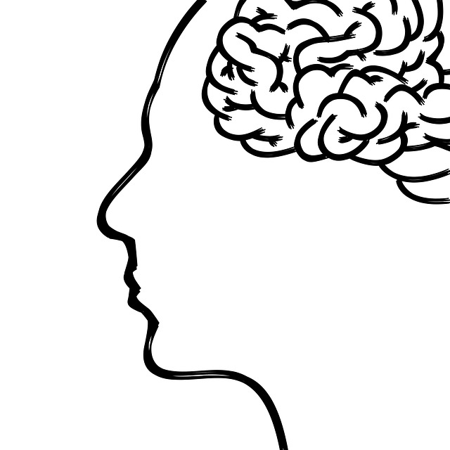 brain